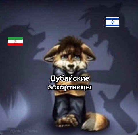 Дубайские эскортницы