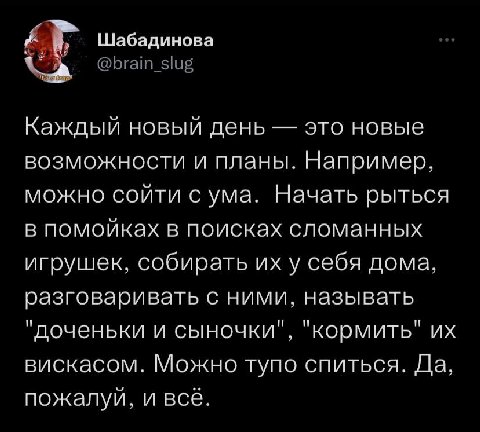 Шабадинова @brain_slug Каждый новый день это новые возможности и планы. Например, можно сойти с ума. Начать рыться в помойках в поисках сломанных игрушек, собирать у себя дома, разговаривать с ними, н