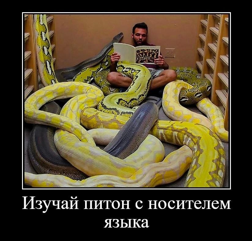 Изучай питон с носителем языка