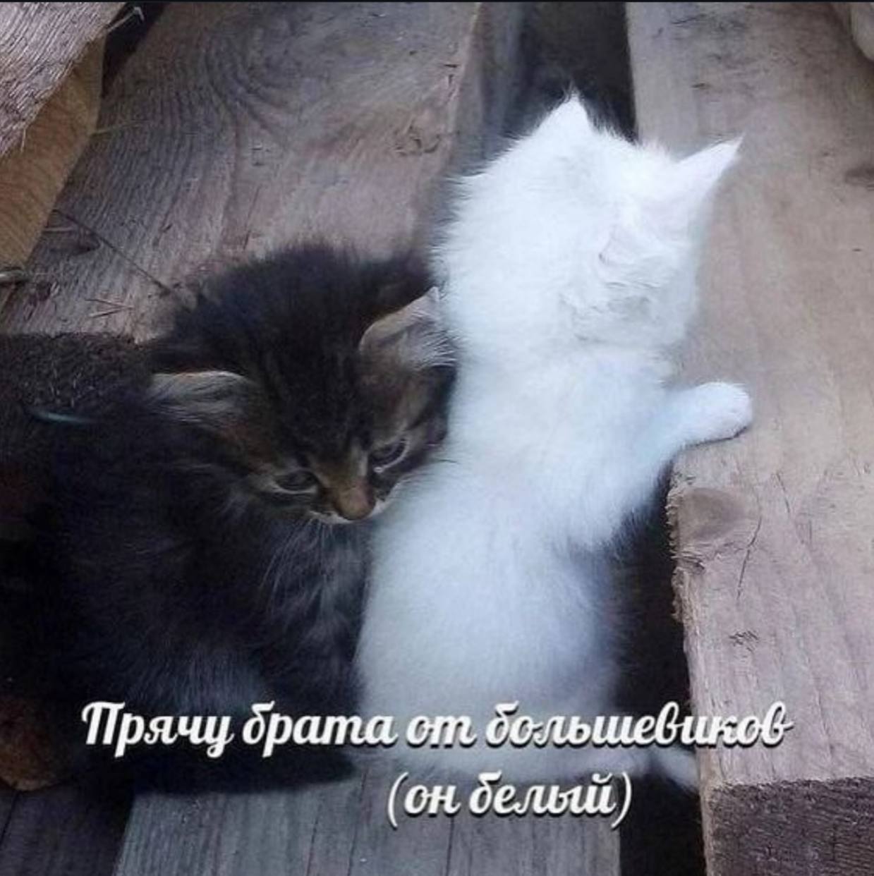 Прячу брата (on