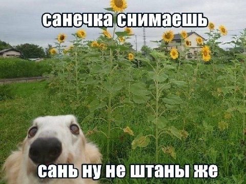 а снимаешь сань ну не штаны же
