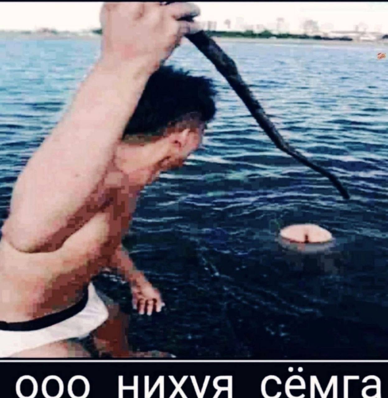 ооо нихуя семга