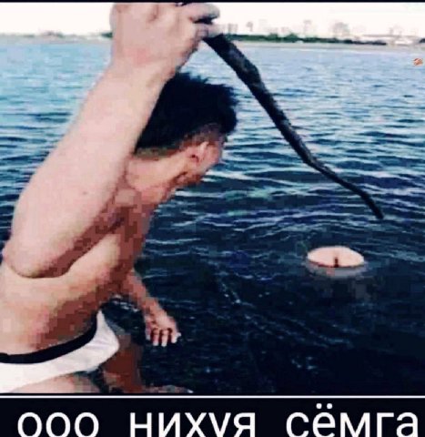 ооо нихуя семга
