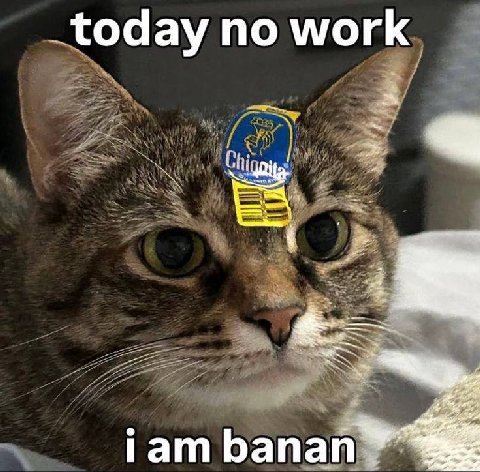 today по work iam