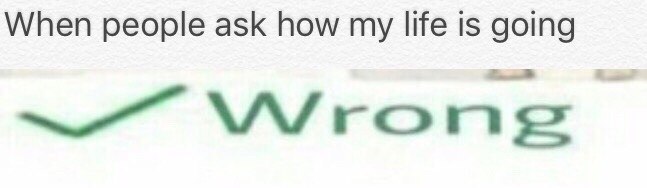 When people ask how my life is going