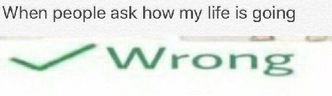 When people ask how my life is going