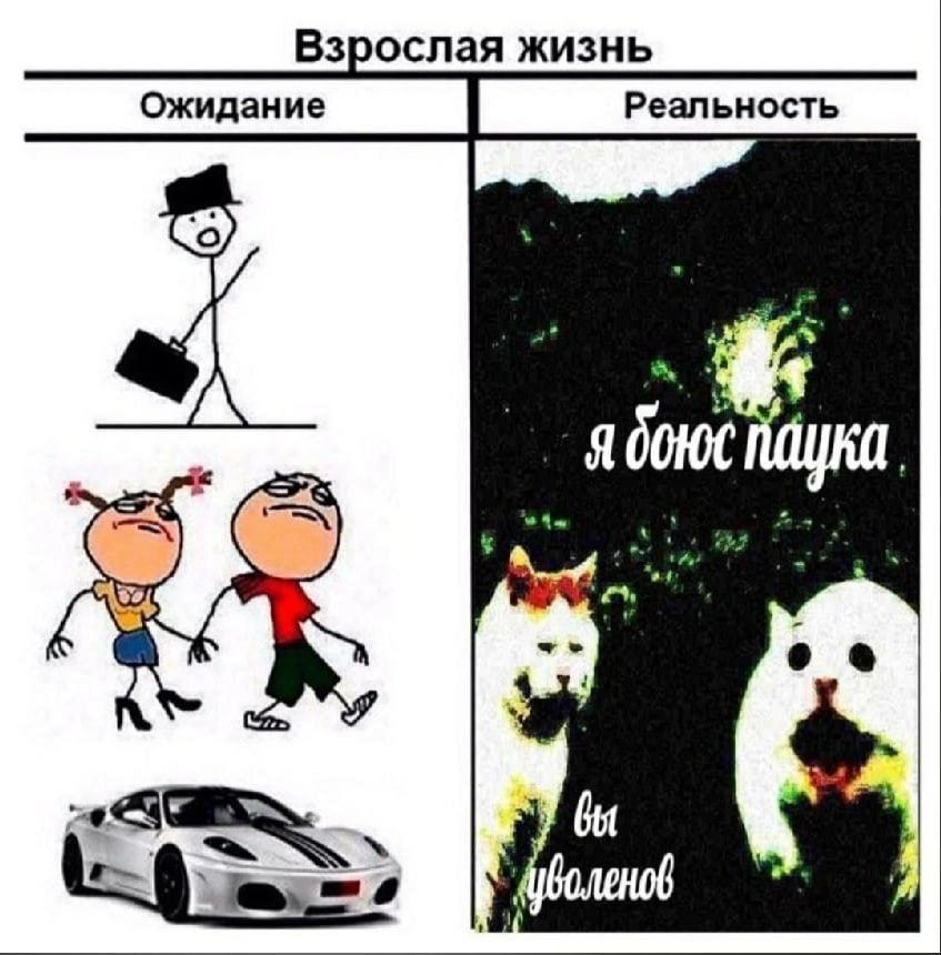 Взрослая жизнь Ожидание Реальность