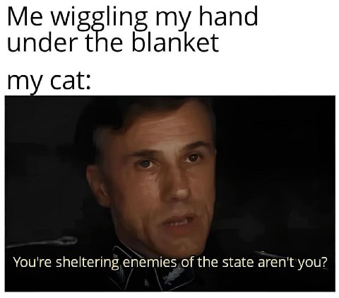 wiggling Папа Under the blanket my cat You're sheltering the state aren't you?