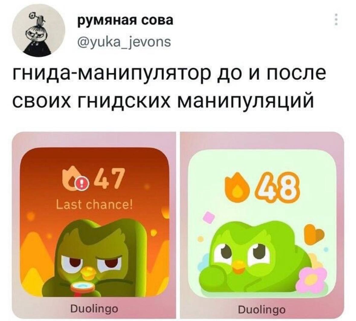румяная сова @yuka_jevons гнида-манипулятор до и после своих гнидских манипуляции 647 Last chance! Duolingo
