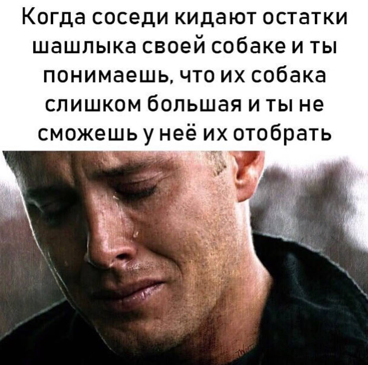 Когда соседи кидают остатки шашлыка своей собаке и ты понимаешь, что собака слишком большая иты не отобрать