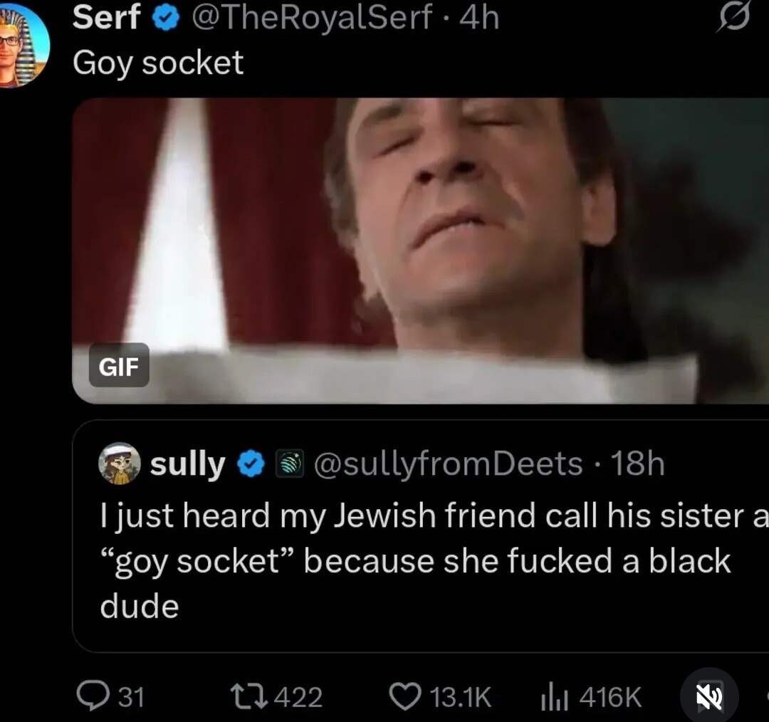 Serf @TheRoyalSerf Goy socket sully @sullyfromDeets just heard my Jewish friend call his sister a “goy socket” because she fucked a black dude
