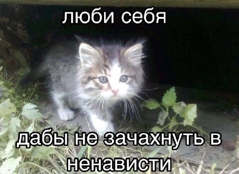 люби себя a 4 ‚дабы He зач ахнуть В енависти.