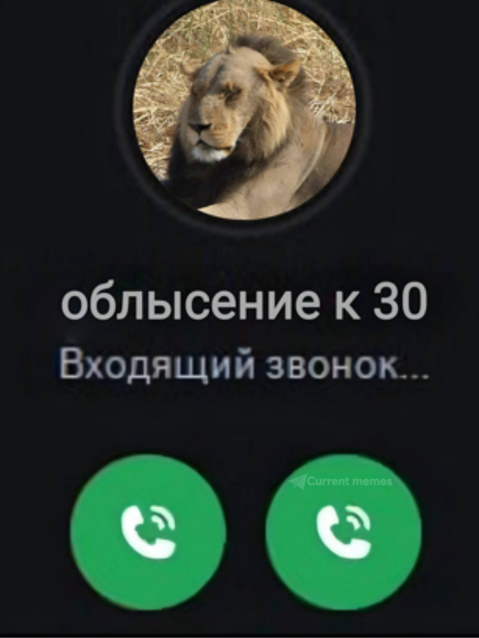 облысение к 30 Входящий звонок...