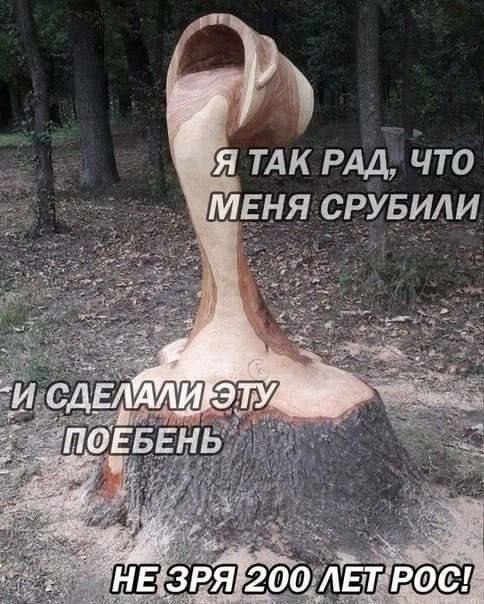 ТАК РАД, ЧТО МЕНЯ СРУБИЛИ И СДЕЛ АЛИЕЭ ПОЕБЕНЬ НЕЗ 0: