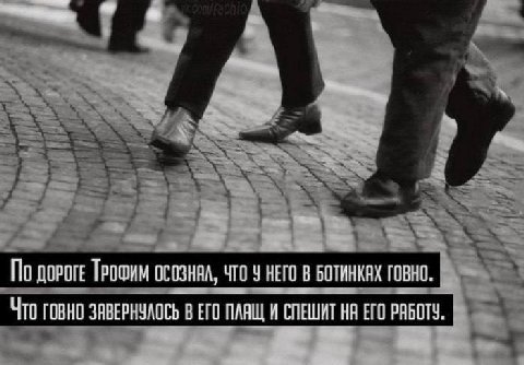 Как себя чувствуют админы тгк, которые не пьют витамин Д зимой