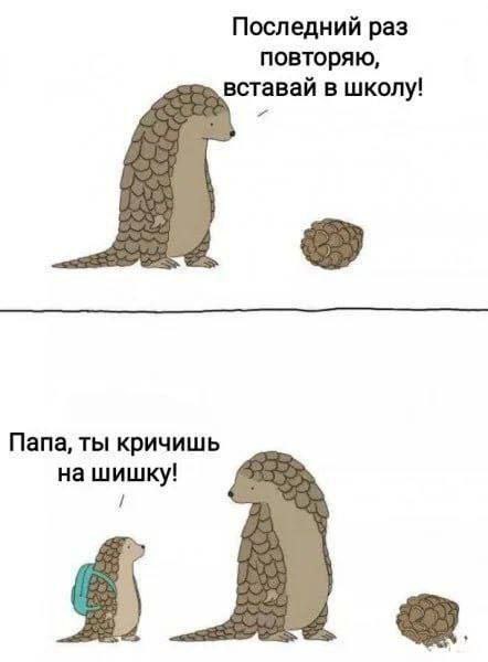 Последний раз повторяю, в школу! Папа, ты кричишь на шишку!