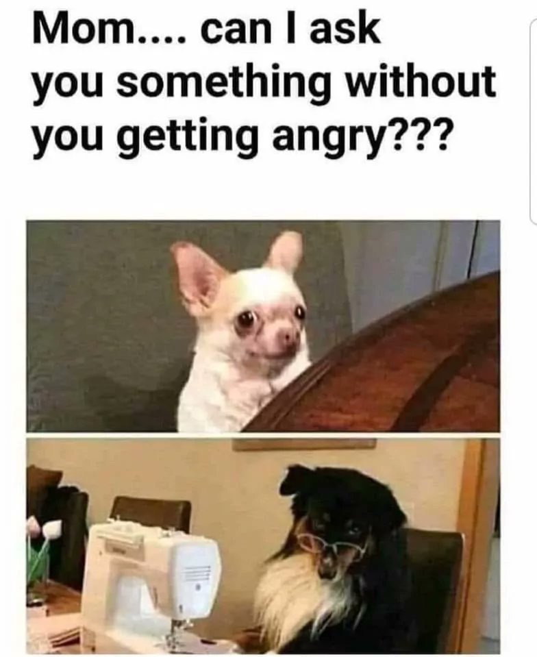 Mom.... can ask you something without you getting angry???