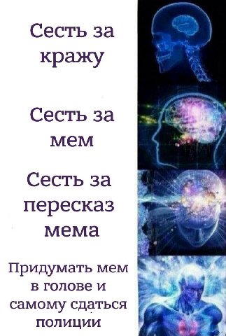 Сесть за кражу Сесть за мем Сесть за пересказ MeMa Придумать Mem в голове и самому сдаться полиции