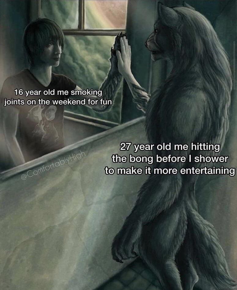 16 year old me smoking joints on the weekend for fun 27 year old me hitting the bong before shower to make it more entertaining