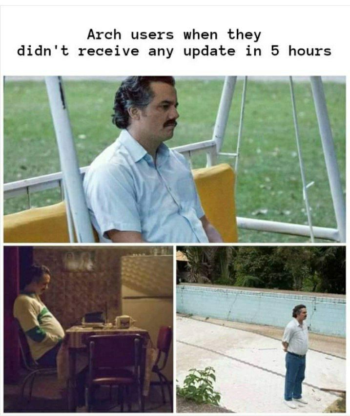 Arch users when they didn't receive any update in 5 hours