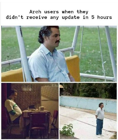 Arch users when they didn't receive any update in 5 hours