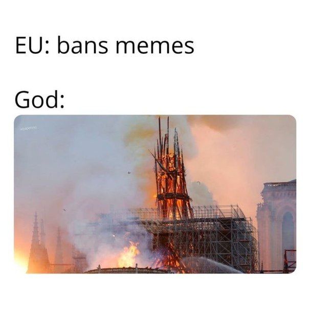 bans memes