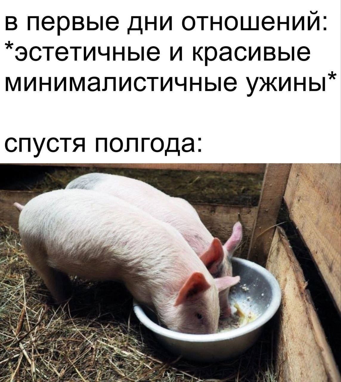 в первые дни отношений: *эстетичные и красивые минималистичные ужины* спустя полгода: 2