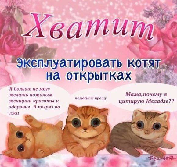 на открытках a Я больше не могу желать пожилым я женщина красоты и помогите прошу цитирую Меладзе?? здоровья. Я погряз во лжи вы