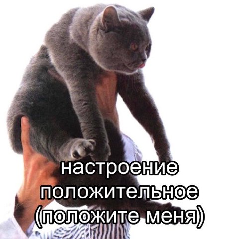 настроение положительное
