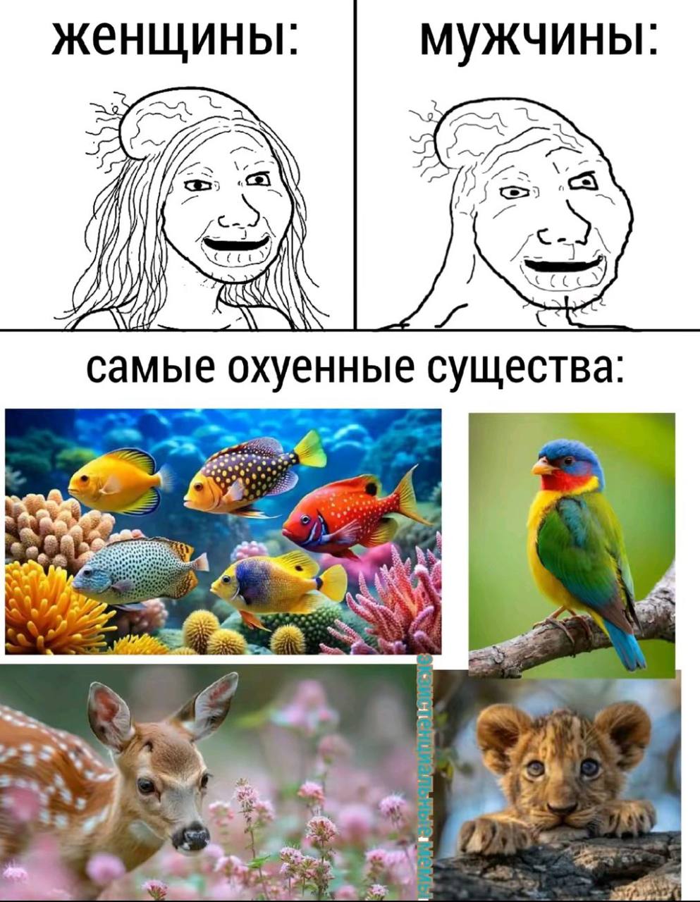 женщины: Мужчины: 2) самые охуенные существа: a я