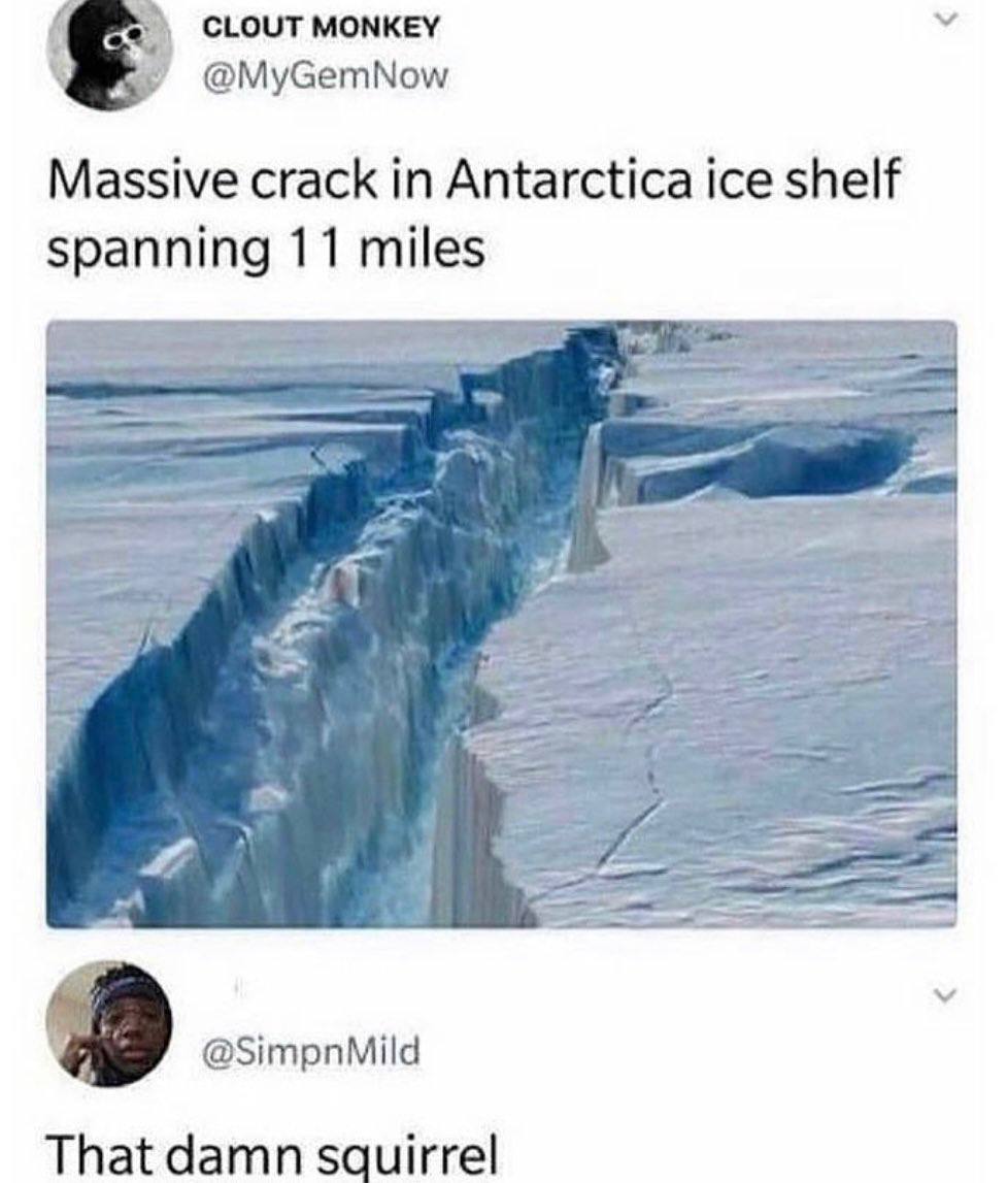 CLOUT MONKEY @MyGemNow Massive crack in Antarctica ice shelf spanning 11 miles 2 @SimpnMild That damn