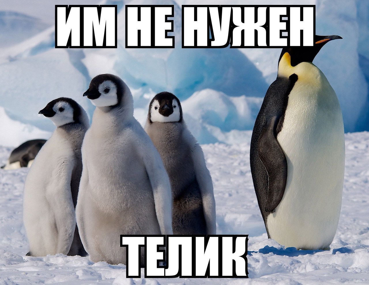 HE НУ ЕЛИ