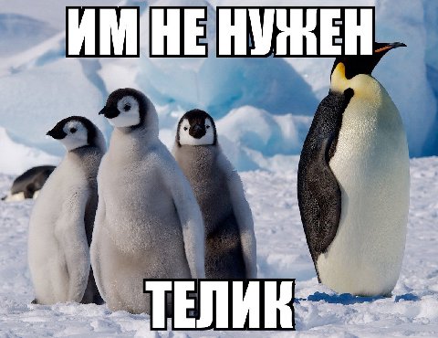 HE НУ ЕЛИ