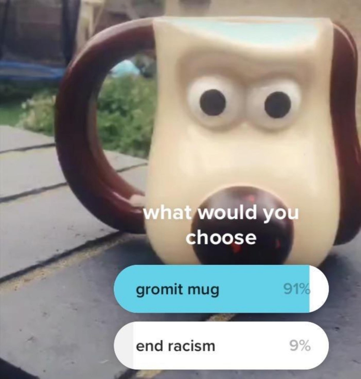 what would you choose