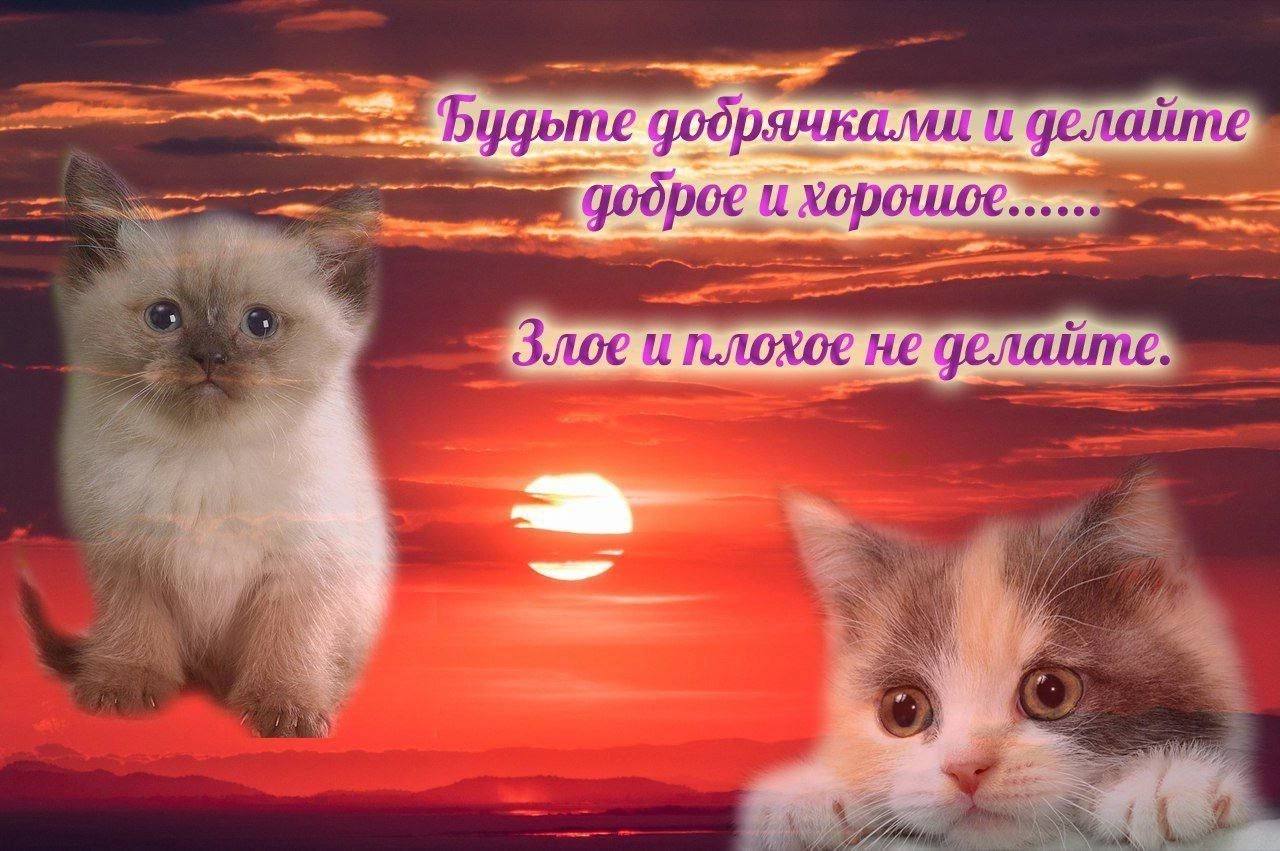 Будьте добр и плохое не nowy +25