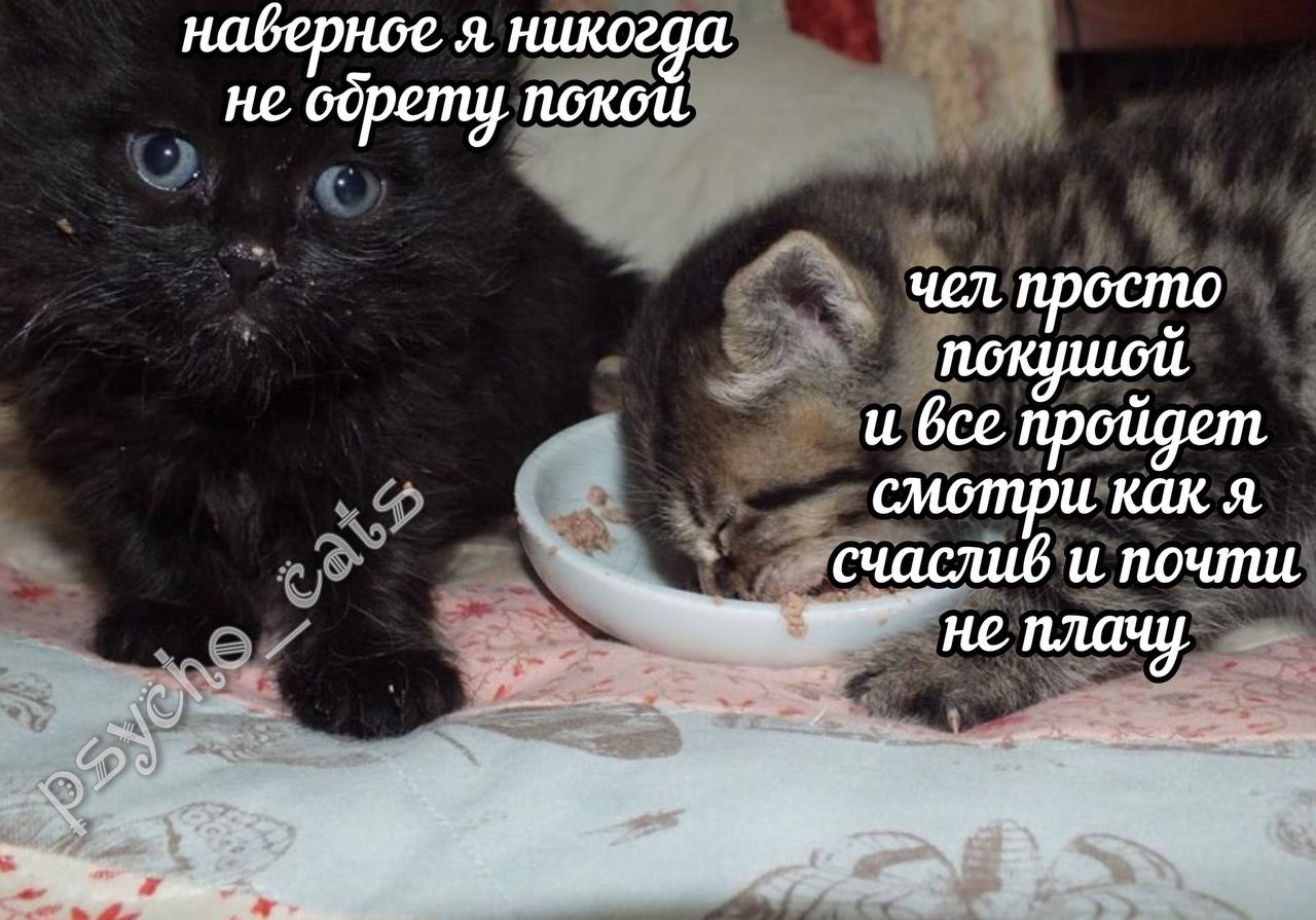 набернсе я никогда не Gopemy покои чел просто и все пройдет смотри как я счаслив и почти
