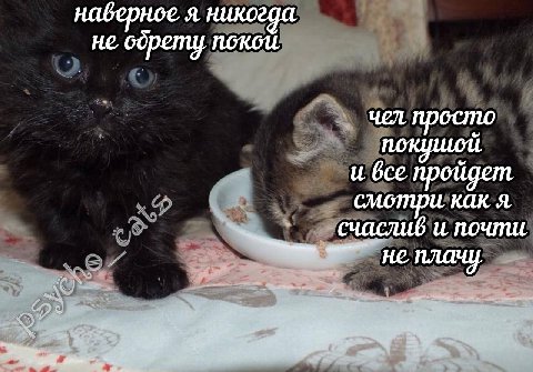 набернсе я никогда не Gopemy покои чел просто и все пройдет смотри как я счаслив и почти