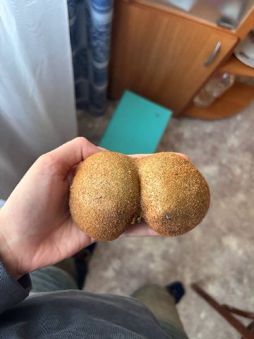 я 6