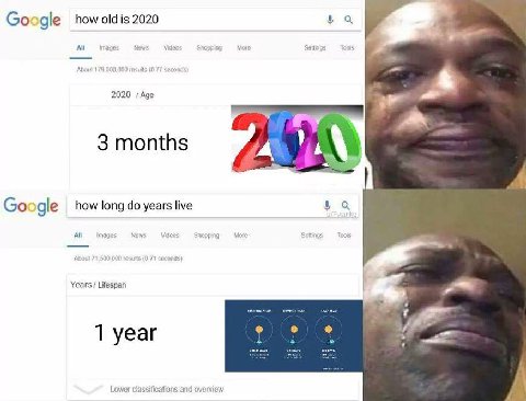 Google howoldis 2020 images News Videos Shopping More Settings Toots 2020 7 Age a 3 months gle how long years live All News Videos Shopping More Settings Tools Years Lifespan 8 1 уеаг Lower classifica