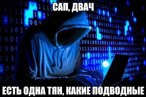 САП, ДВАЧ ЕСТЬ ОДНА ТЯН, КАКИЕ ПОДВОДНЫЕ