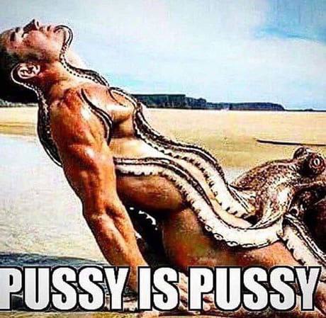0 PUSSY.