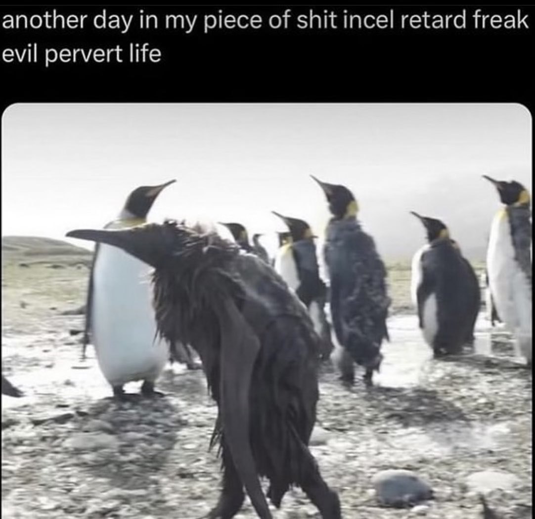 another day in my piece of shit incel retard freak evil pervert life A