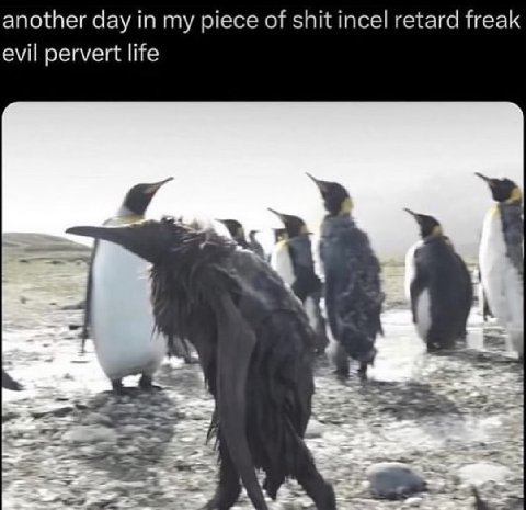 another day in my piece of shit incel retard freak evil pervert life A