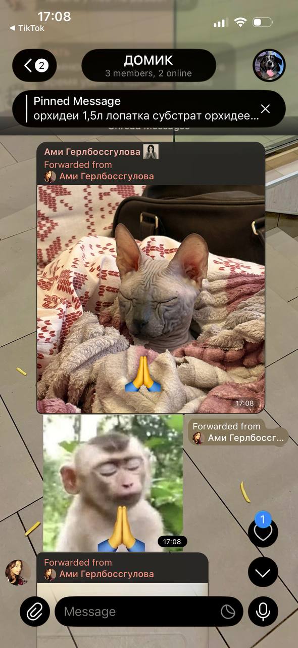 ДОМИК 3 members, 2 online Pinned Message орхидеи лопатка субстрат орхидее... Ами Герлбоссгулова а Forwarded from Ами Герлбоссгулова а Я 1 Ами me 3 Forwarded from Ами Герлбоссгулова Message о.