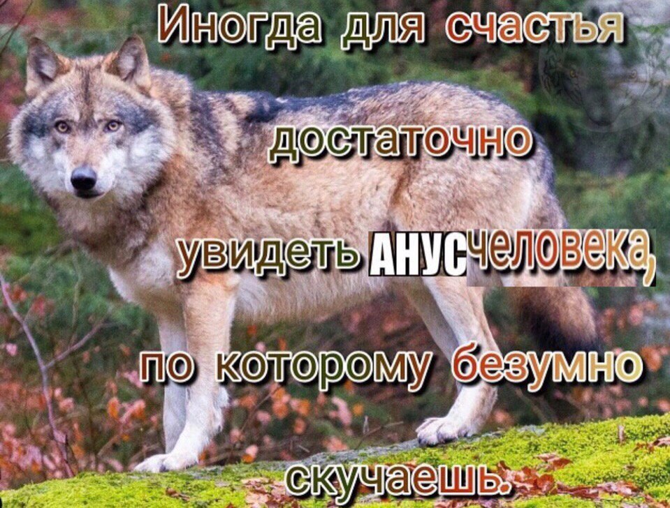 а для 4 3 aby АНУ SIX 4 о оторому 2% we 4