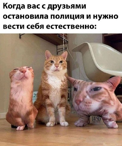 Когда вас с друзьями остановила полиция и нужно вести себя естественно: 2