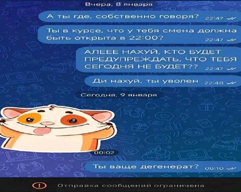 Buepa, 8 января A ты где, собственно говоря? в курсе, что у тебя смена должна открыта в 22:00? АЛЕЕЕ НАХУМ, КТО БУДЕТ НЕ БУДЕТ нахуй, ты уволен Сегодня, января 00:02 Bale дегенерат? oono огранычена