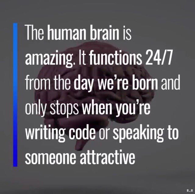 The human brain is amazing. It functions 24/7 from the day we're born and only stops when yourre writing code or speaking to someone attractive