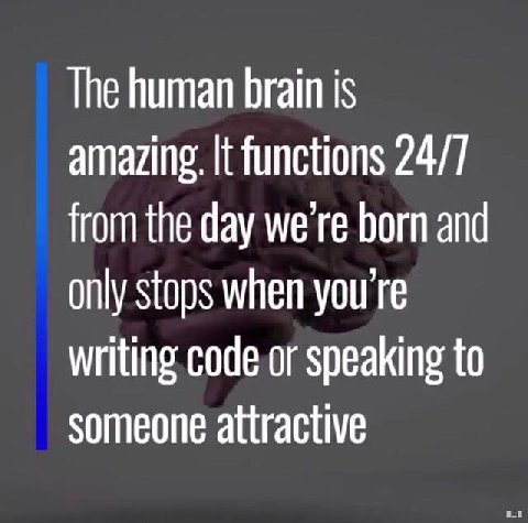 The human brain is amazing. It functions 24/7 from the day we're born and only stops when yourre writing code or speaking to someone attractive