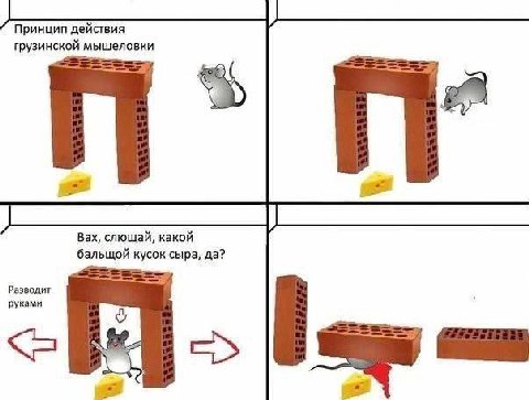 Принцип действия грузинской мышеловки Вах, слющай, какой бальщой кусок сыра, да? Разводит руками